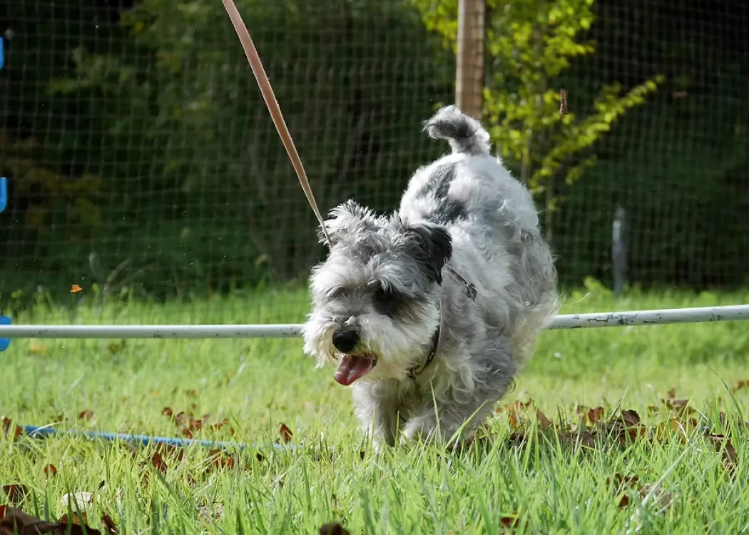 コンセプト画像