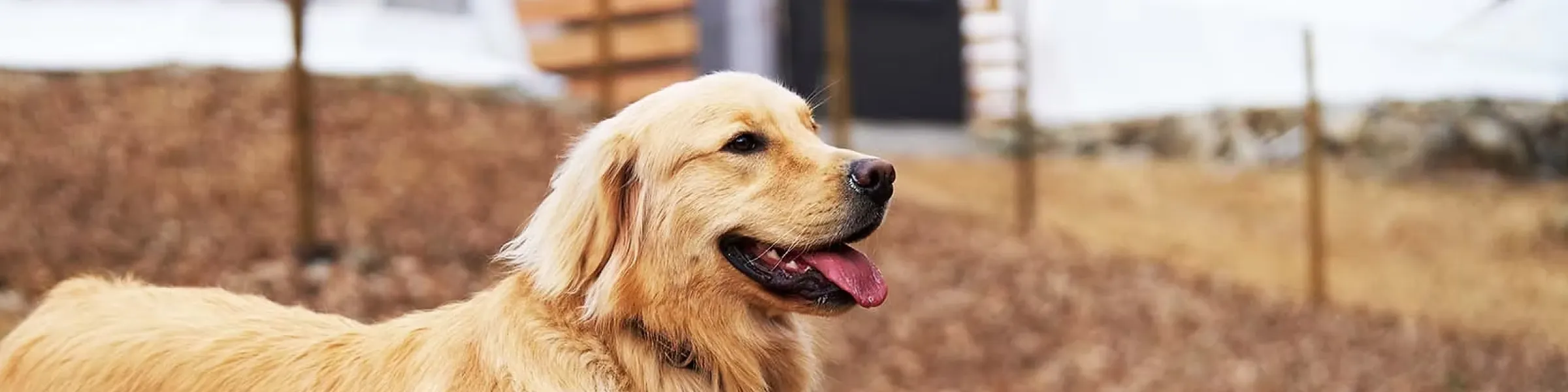 メインビジュアル画像