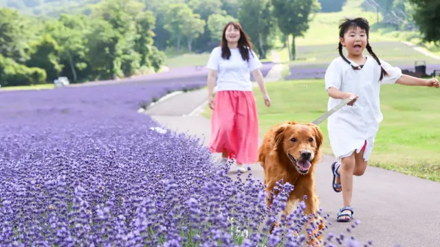 観光スポット画像